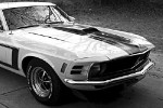 Modely - Ford Mustang  50 let mezi nmi  st druh  reklamn a speciln verze prvn generace 1964  1973